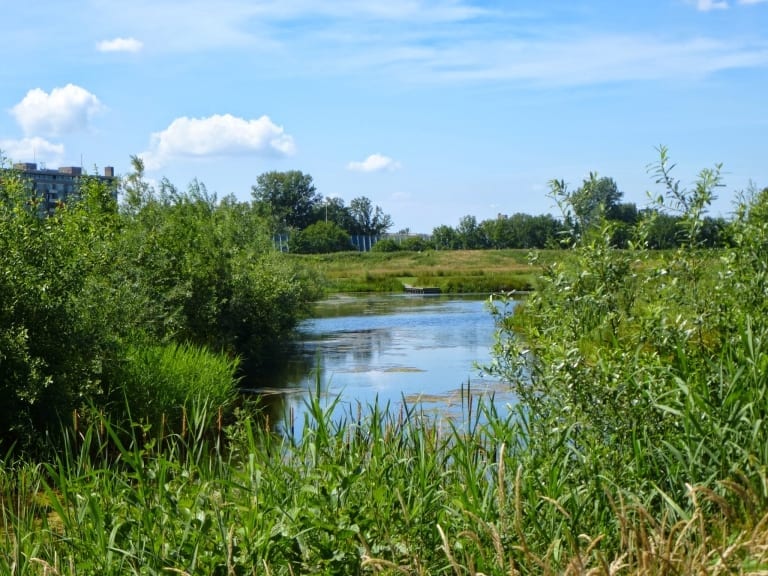 Strategie: het nieuwe waterdenken – waterprincipes